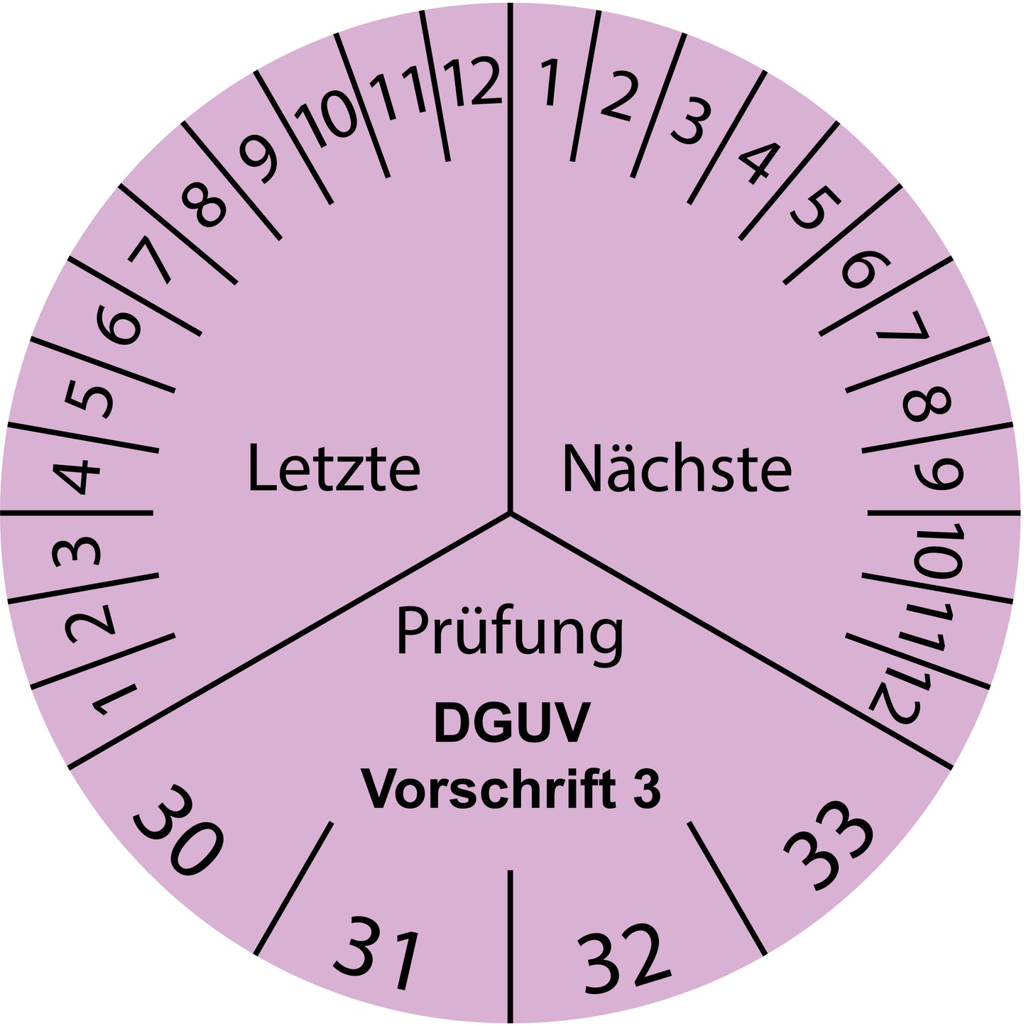 Mehrjahresprüfetiketten, Letzte & Nächste Prüfung, DGUV Vorschrift 3, Startjahr: 2030 aus Papier oder Plastik
