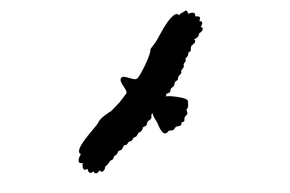 Vogelschutzaufkleber 20-60 cm ES-VOG-100-88 in verschiedenen Farben aus Plastik wetterfest
