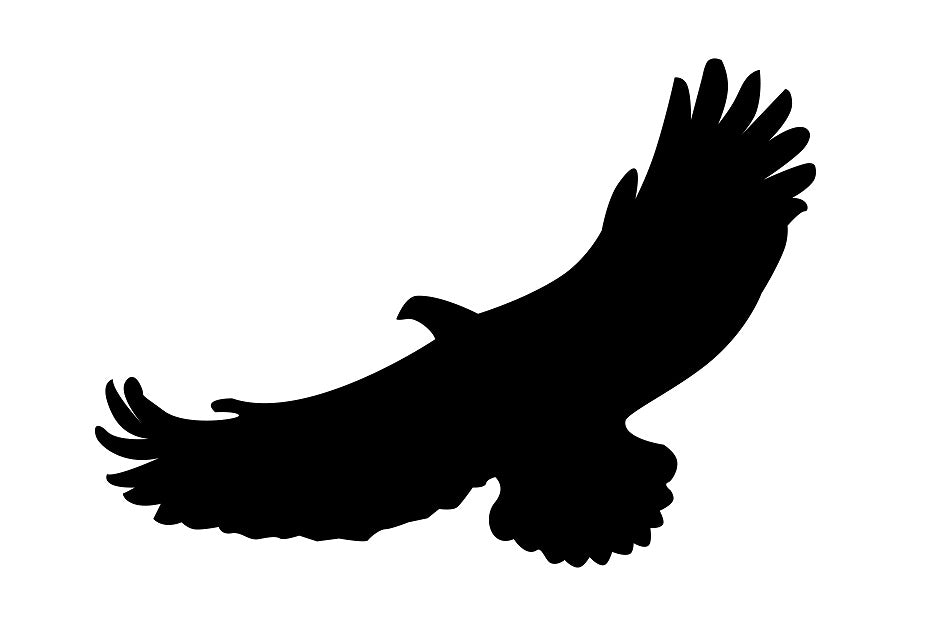 Vogelschutzaufkleber 20-60 cm ES-VOG-110-88 in verschiedenen Farben aus Plastik wetterfest
