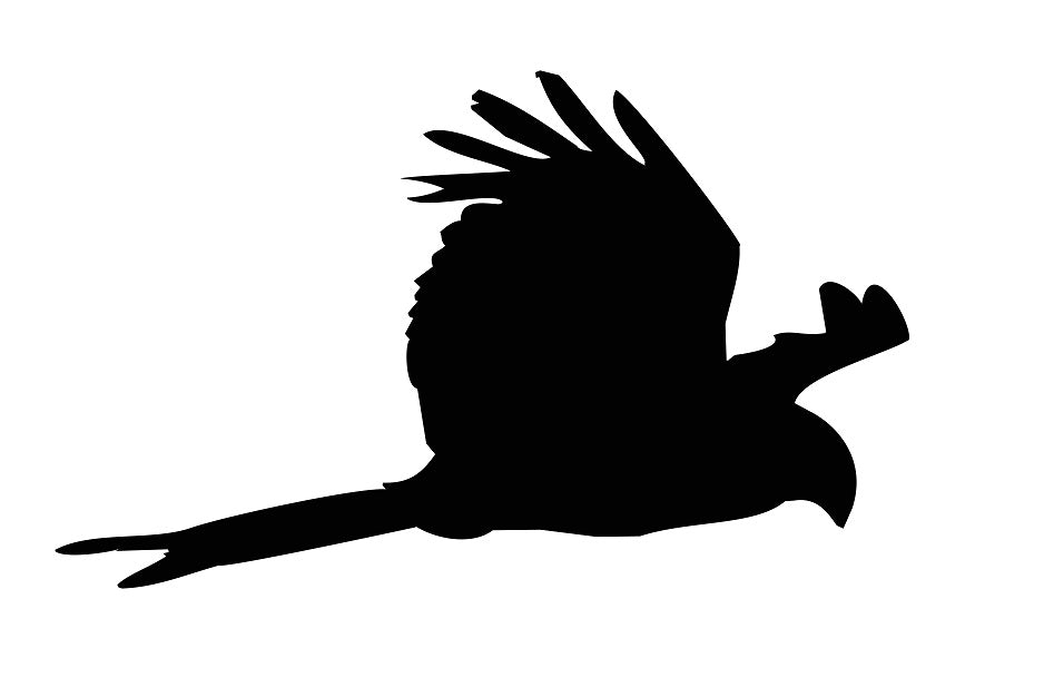 Vogelschutzaufkleber 20-60 cm ES-VOG-120-88 in verschiedenen Farben aus Plastik wetterfest