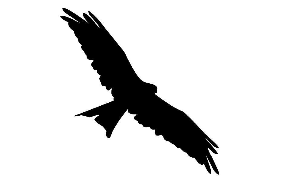 Vogelschutzaufkleber 20-60 cm ES-VOG-130-88 in verschiedenen Farben aus Plastik wetterfest