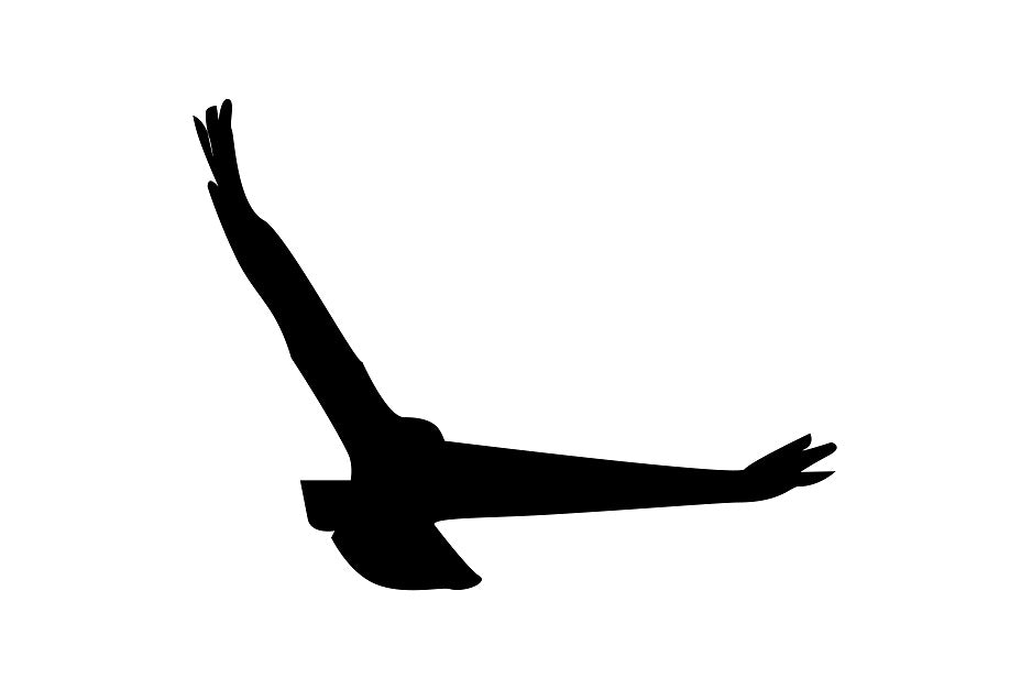 Vogelschutzaufkleber 20-60 cm ES-VOG-140-88 in verschiedenen Farben aus Plastik wetterfest