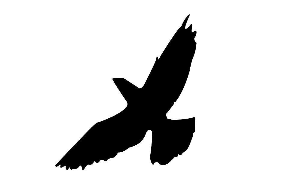 Vogelschutzaufkleber 20-60 cm ES-VOG-60-88 in verschiedenen Farben aus Plastik wetterfest
