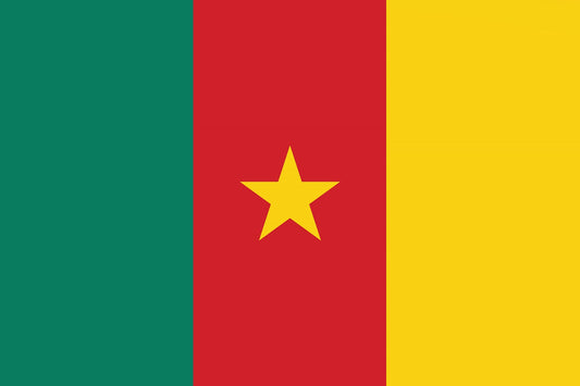 Kamerun - Fahnen Aufkleber 5-60cm wetterfest ES-FL-KAM