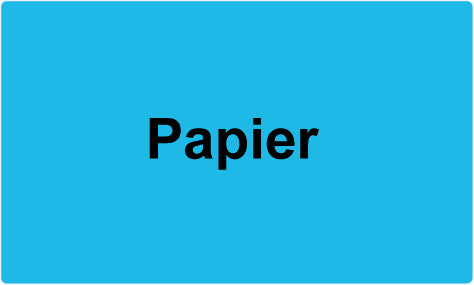 1000 Mülltrennungsaufkleber "Papier" aus Papier ES-GRPWA100