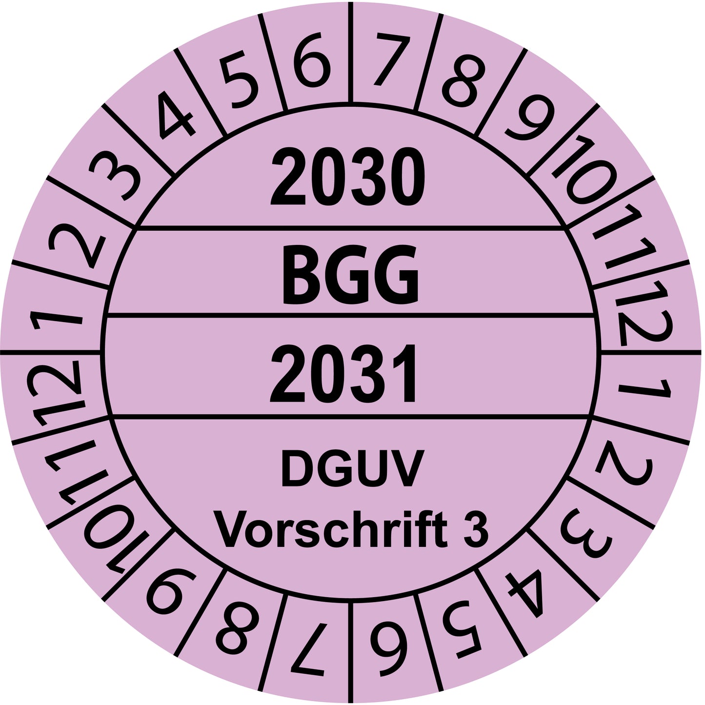 Mehrjahresprüfetiketten, BGG, DGUV Vorschrift 3, Startjahr: 2030 aus Papier oder Plastik