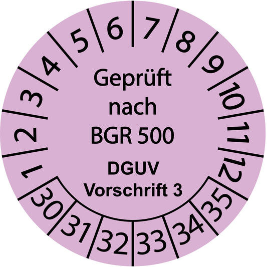 Mehrjahresprüfetiketten, Geprüft nach BGR 500, DGUV Vorschrift 3, Startjahr: 2030 aus Papier oder Plastik