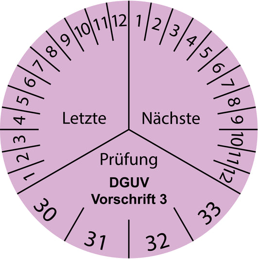 Mehrjahresprüfetiketten, Letzte & Nächste Prüfung, DGUV Vorschrift 3, Startjahr: 2030 aus Papier oder Plastik