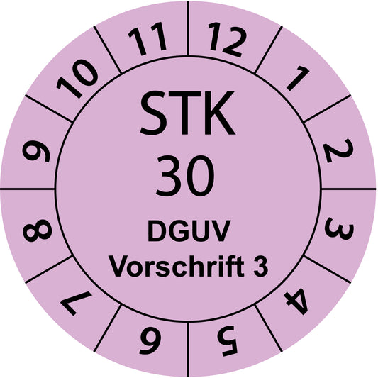 Einjahresprüfetiketten, Sicherheitstechnische Kontrolle 25, DGUV Vorschrift, Startjahr: 2030 aus Papier oder Plastik