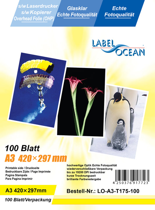 100 Blatt A3 Overheadfolien LO-A3-T175-100 (OHP) Folie transparent-glasklar für s/w Laserdrucker und s/w Kopierer